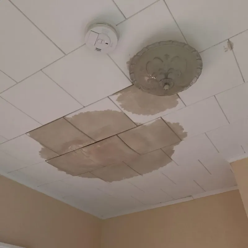 Ceiling Water Damage Repair in East Hampton, CT