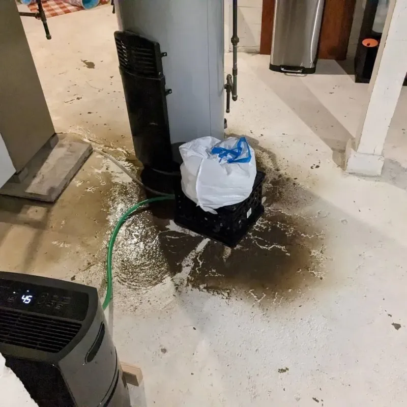 Sewage Backup Cleanup Service in East Hampton, CT